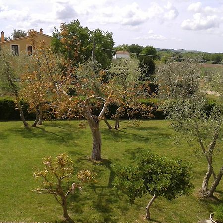 Il Punto Verde SantʼAntonio Buitenkant foto