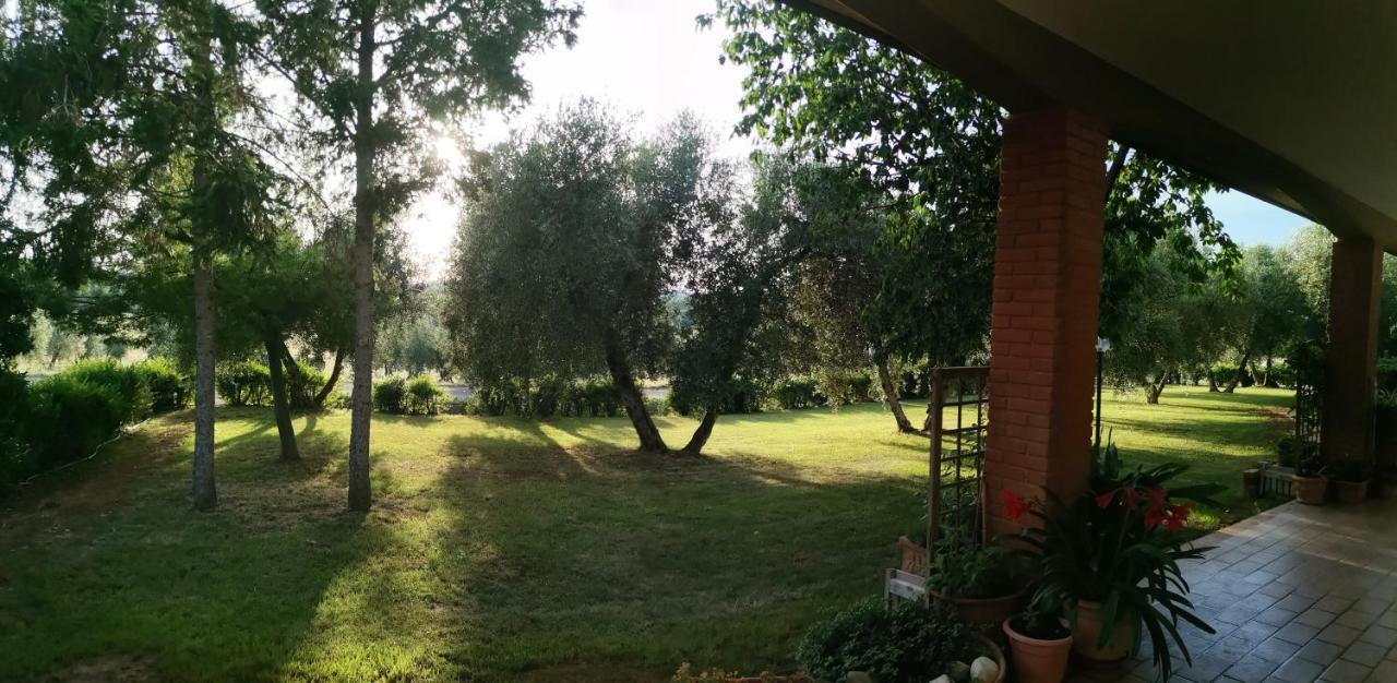 Il Punto Verde SantʼAntonio Buitenkant foto