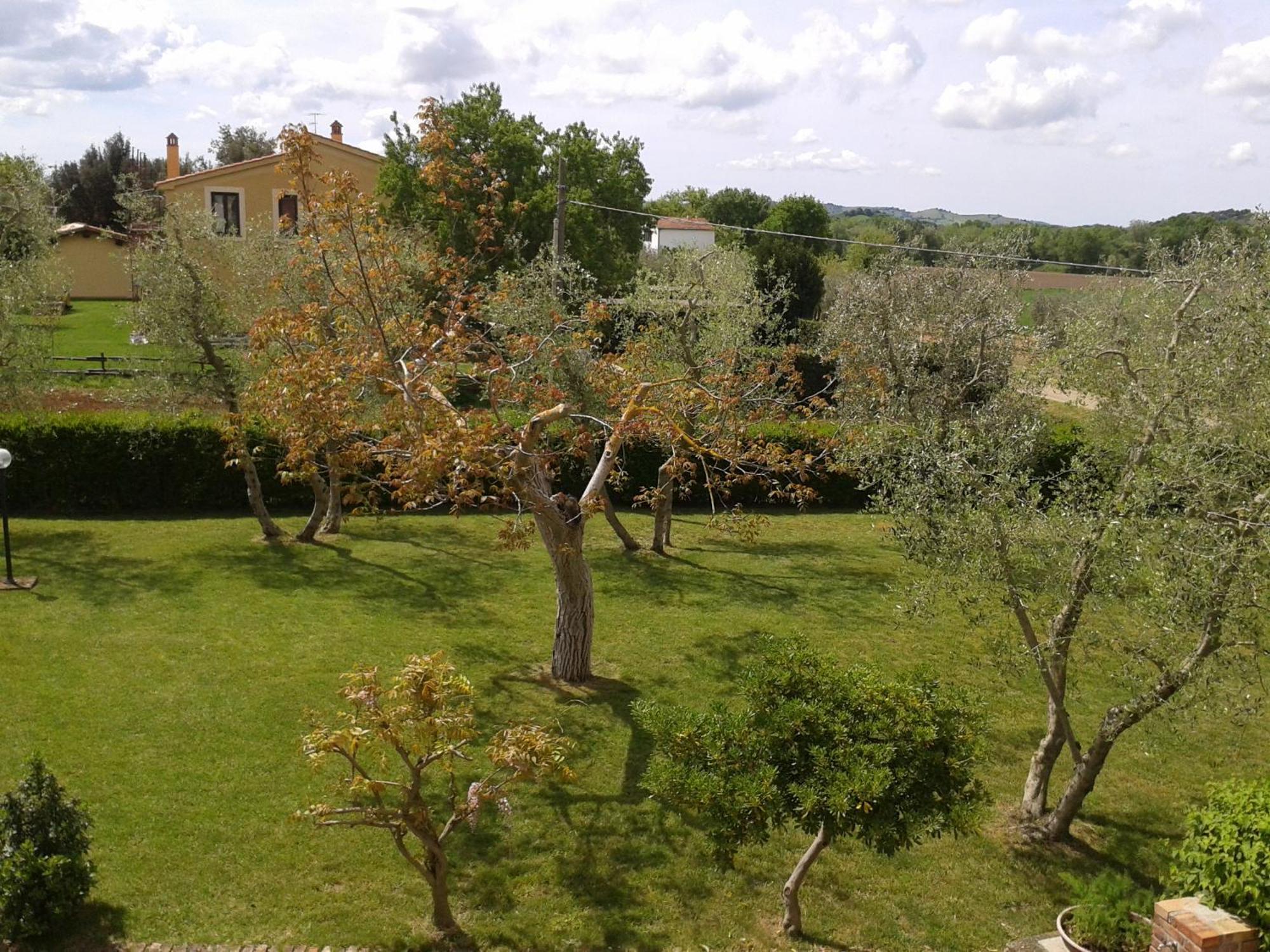 Il Punto Verde SantʼAntonio Buitenkant foto