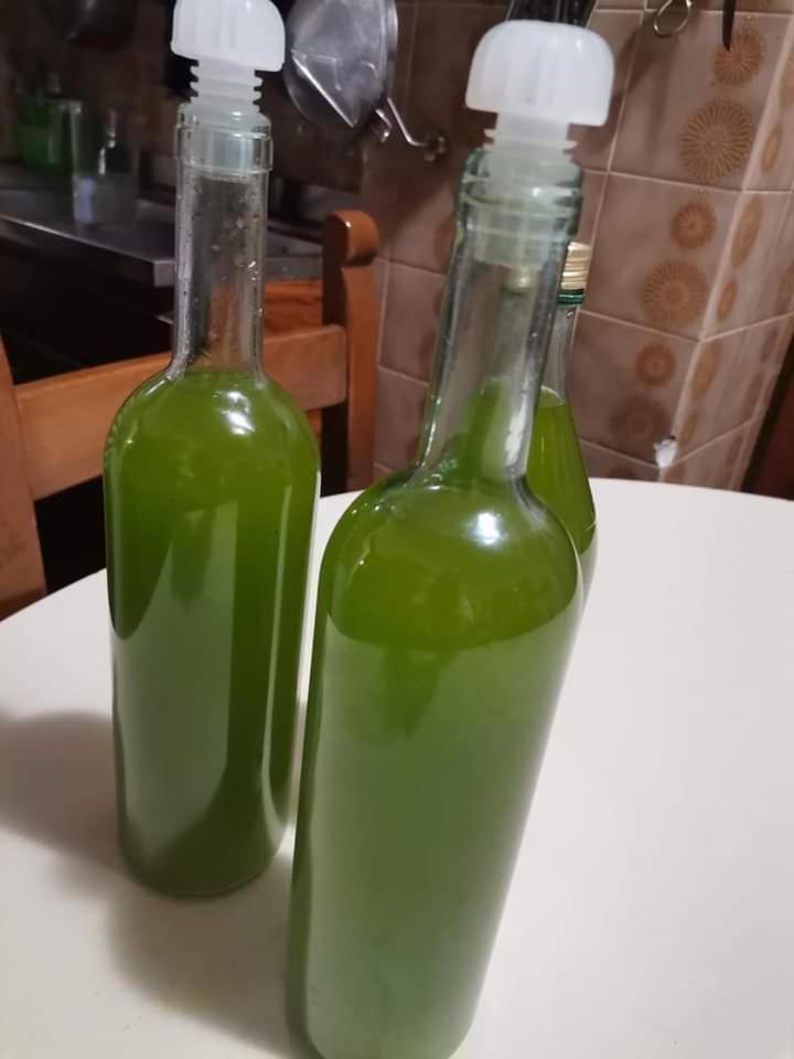 Il Punto Verde SantʼAntonio Buitenkant foto