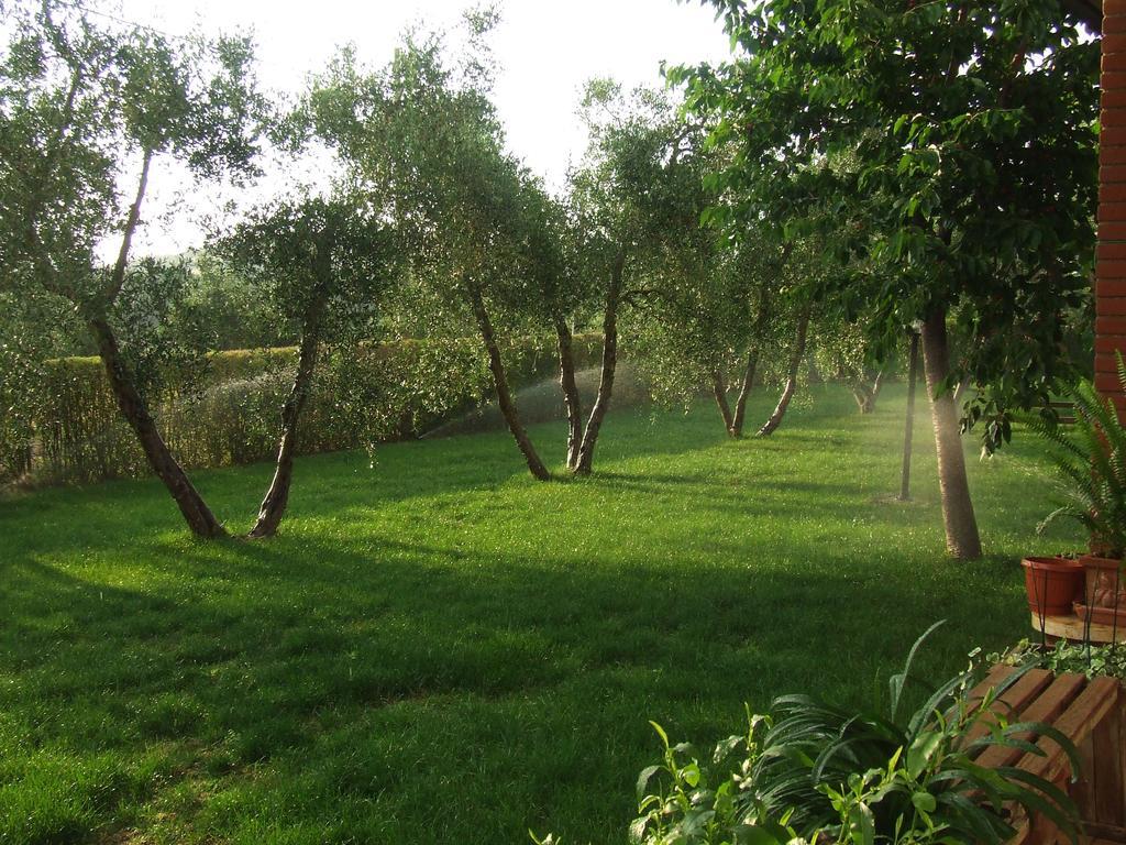 Il Punto Verde SantʼAntonio Buitenkant foto